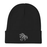 Paradise University Embroidered Beanie