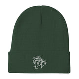 Paradise University Embroidered Beanie
